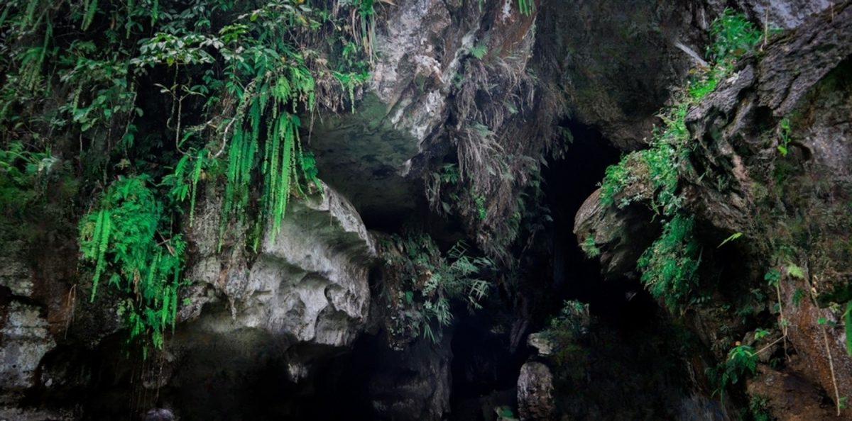 Gua Kelelawar Padayo Destinasi Wisata Baru Di Kota Padang