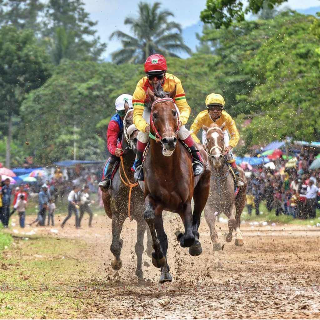 Animal races Horse Race - Instagram @hendra_nasri