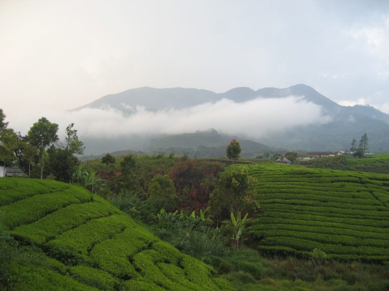 Mount Talang - Photo courtesy of Wikipedia