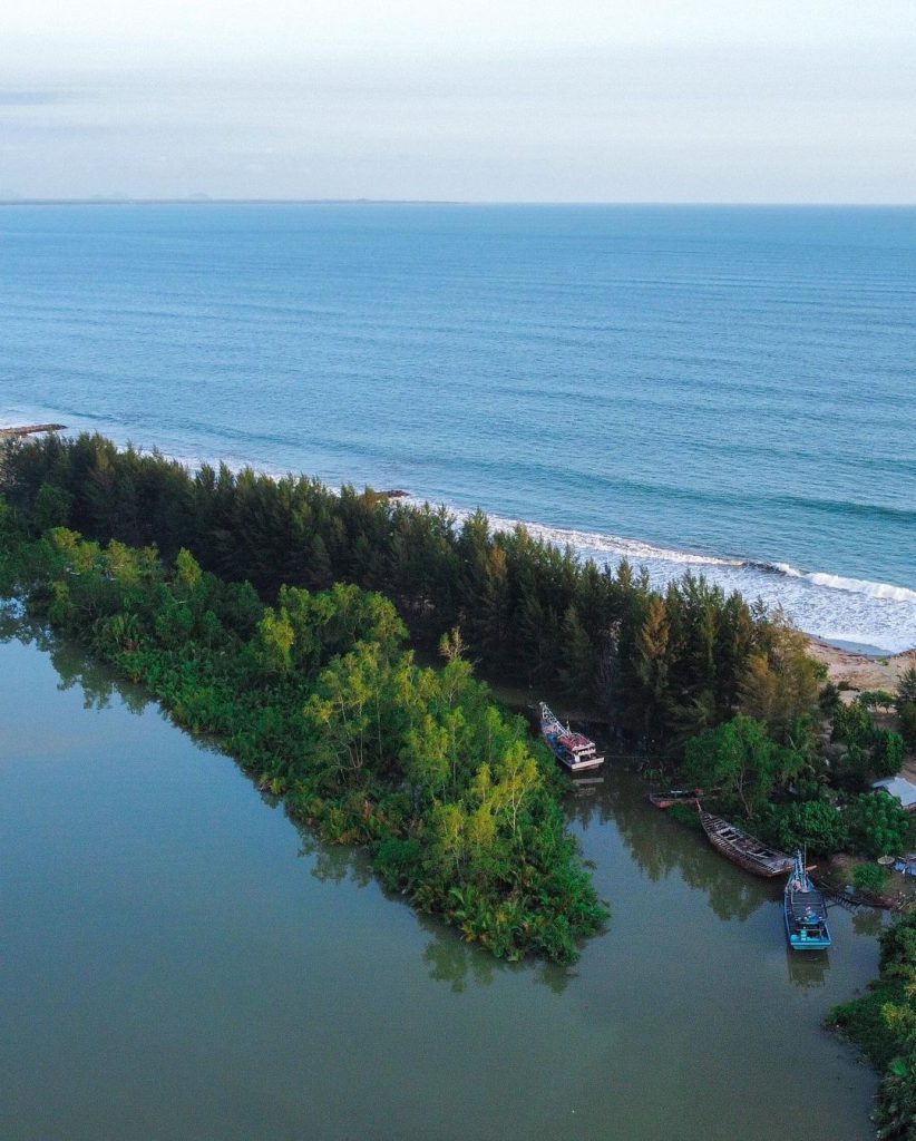 Pohon Seribu Sasak Primadona Wisata Pasaman Barat