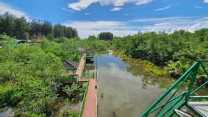 Apar Mangrove Park - Photo Muhammad yusuf - West Sumatra 360 Apar Mangrove Park - Photo Muhammad yusuf