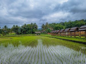 7 Wisata Unggulan Kota Padang Panjang Desa Wisata Kubu Gadang - Photo Meta Nur Rizki