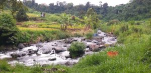 7 Wisata Unggulan Kota Padang Panjang Desa Wisata Lambah Batu Limo - Noman Nazar