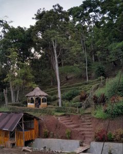 Rumah Pohon Negri di Atas Awan - Photo Dari KKN-PPM UNAND NAGARI MUARO AIE 2023