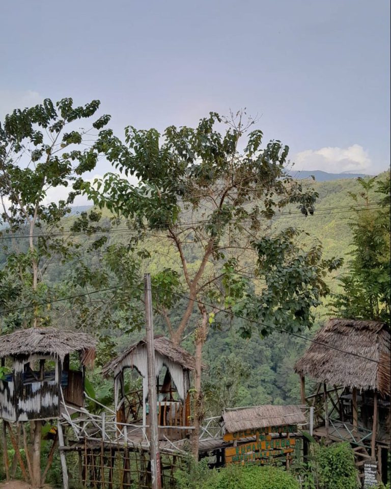 Pemandangan dari atas RUmah Pohon - Photo Dari KKN-PPM UNAND NAGARI MUARO AIE 2023
