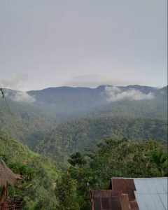 Pemandangan dari atas RUmah Pohon - Photo Dari KKN-PPM UNAND NAGARI MUARO AIE 2023