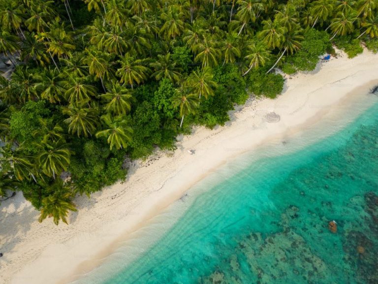 Wisata Mentawai Sumatera Barat