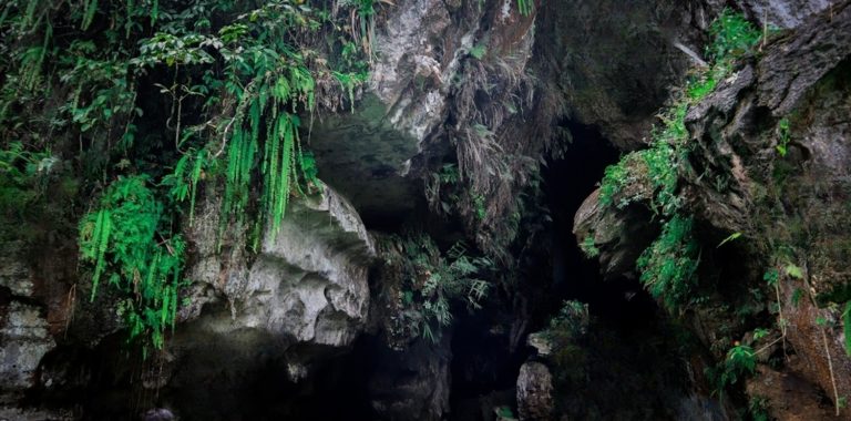 Gua Kelelawar Padayo, Destinasi Wisata Baru Di Kota Padang