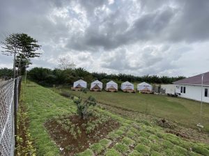 6 Rekomendasi Spot Glamping di Sumatra Barat