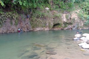 4 Rekomendasi Wisata Ikan Larangan di Sumatera Barat yang Unik dan Sarat Nilai Budaya