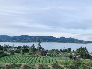 Villa Samara at Taluak Resort: Liburan Seru dengan Pemandangan Danau Diatas