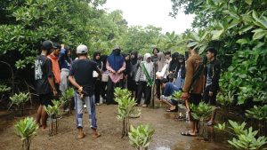 Photo Dea Asmiatih - West Sumatra 360 Menjelajah Ekosistem Mangrove di Nagari Sungai Pinang