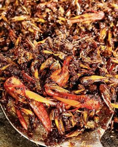 Randang Bilalang - Photo Small Kitchen - West Sumatra 360 7 Oleh-Oleh Khas Kabupaten Sijunjung: Buah Tangan Wajib Wisatawan
