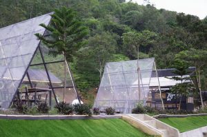 Camperia Cafe & Camp - West Sumatra 360 5 Rekomendasi Tempat Nongkrong Seru dan Estetik di Payakumbuh