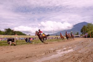 Pacu Kuda - Photo Nanda Bismar- Berpacu di Ambacang - West Sumatra 360 Pacu Kuda di Sumatera Barat: Berawal dari Tradisi Budaya ke Pentas Nasional