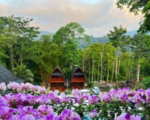 5 Rekomendasi Villa dengan Kolam Renang di Padang