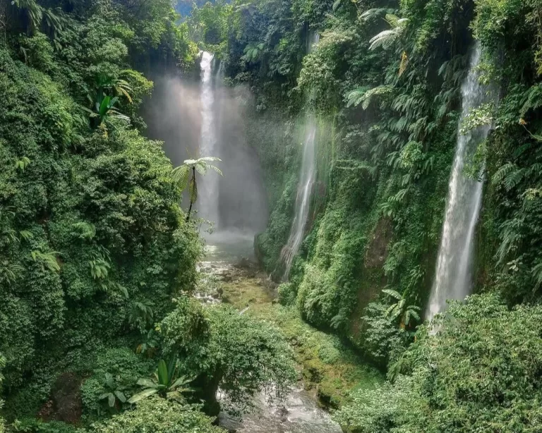 Jelajahi Keindahan Alam Sumatera Barat Lewat 6 Jalur Hiking Ini