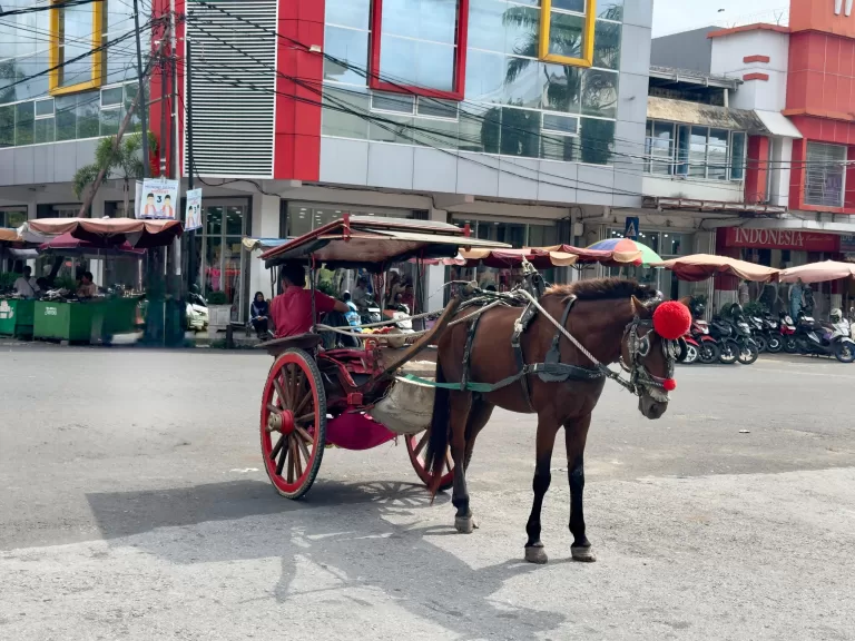 Menelusuri Jejak Bendi: Transportasi Tradisional Ikonik di Sumatera Barat