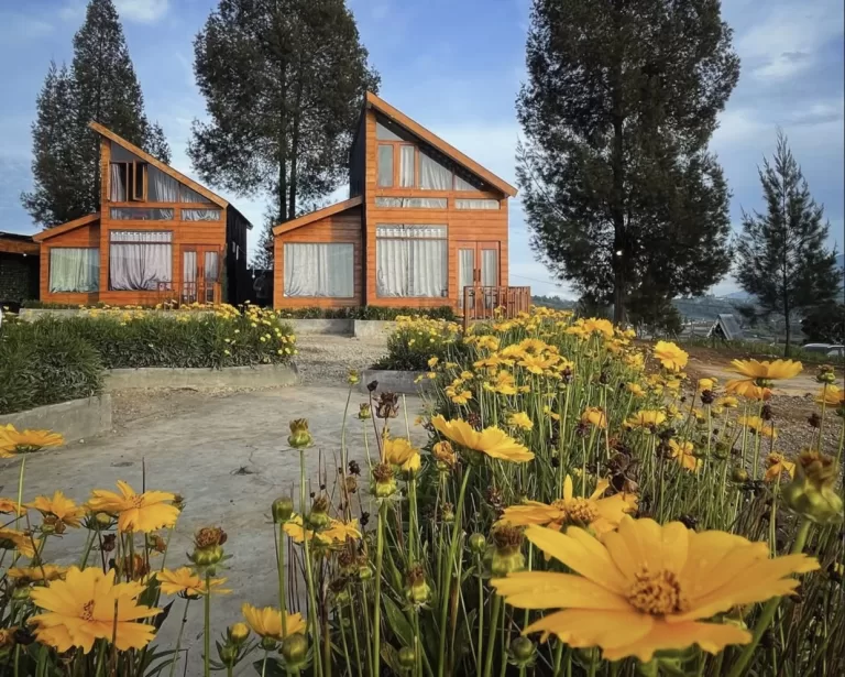 7 Glamping di Sumbar untuk Liburan Romantis Bersama Pasangan