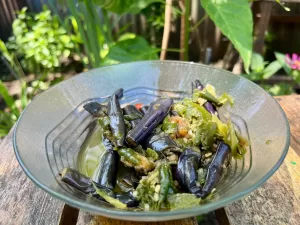 Samba Lado Taruang - Photo Koleksi Novi - West Sumatra 360 7 Jenis Samba Lado Otentik: Cita Rasa Pedas Gurih Khas Minangkabau