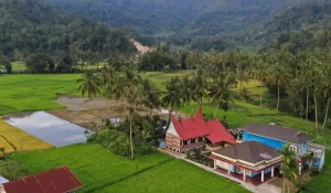Homestay Rumah Gadang Sumatra Barat: 6 Pilihan Tempat Menginap yang Nyaman dan Otentik