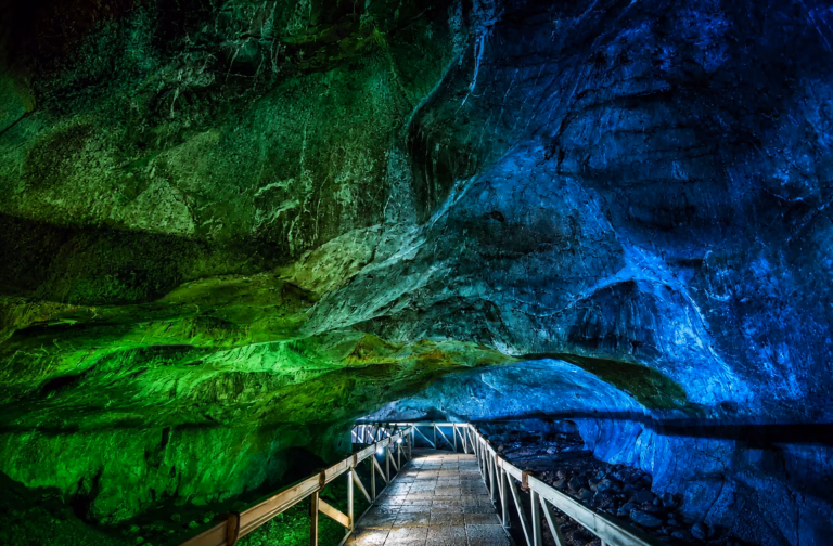 Visit PT Semen Padang Area: Bat Cave and Deer Park Guide Visit PT Semen Padang Area: Bat Cave and Deer Park Guide